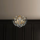 Renaissance 6-Light Close-to-Ceiling