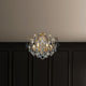Renaissance 6-Light Close-to-Ceiling