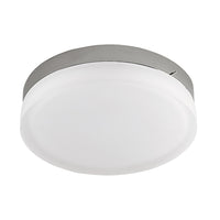 Pense Flush Mount