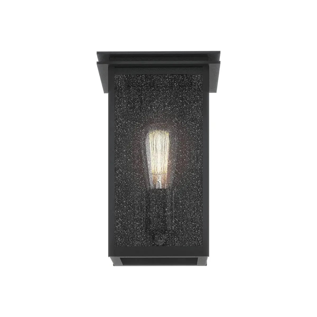 Arkville 10" 1-Light Outdoor Wall Light