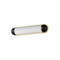 Capsule 24" LED Bath Vanity CCT