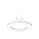 Pi 30" Round LED Ring Pendant