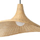 Haxey 20" 1-Light Pendant