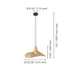 Haxey 20" 1-Light Pendant