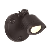 LED Single Flood Light