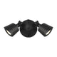 LED Double Flood Light