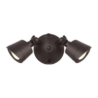 LED Double Flood Light