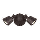 LED Double Flood Light