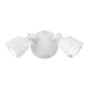 LED Double Flood Light