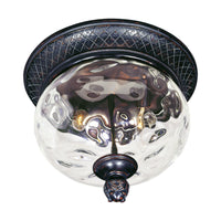 Carriage House 2-Light Outdoor Ceiling Mount