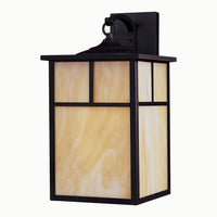 Coldwater 1-Light Outdoor Wall Lantern
