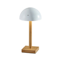Nash LED Cordless Table Lamp