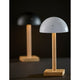 Nash LED Cordless Table Lamp