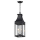 Bramwell VX 3-Light Outdoor Pendant