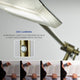 Vera LED Desk Lamp