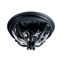 Camden 3-Light Outdoor Ceiling Mount