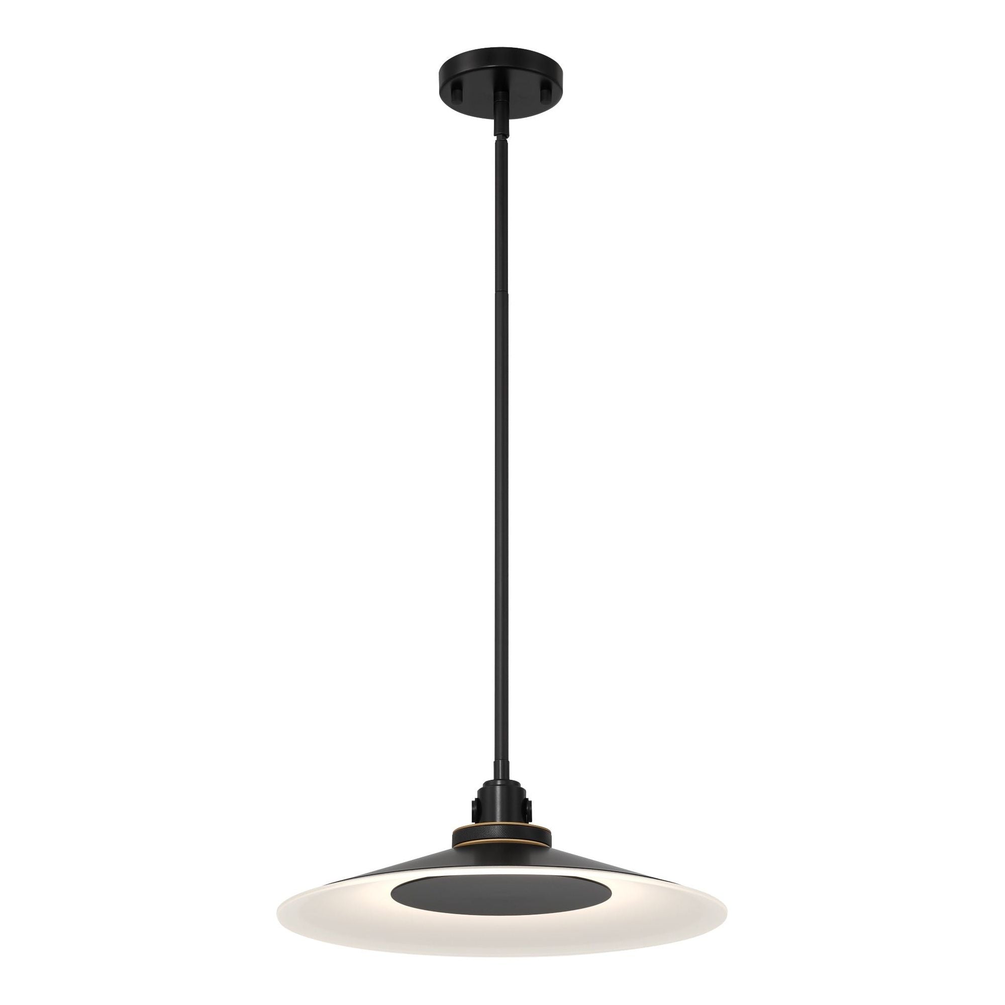 Deckard 16" 1-Light Outdoor Pendant