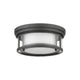Willow 2-Light Flush Mount