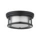 Willow 2-Light Flush Mount