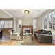 Willow 3-Light Flush Mount