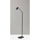 Colby LED Floor Lamp