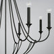 Bentley 8-Light Chandelier