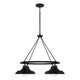 Jones 4-Light Chandelier