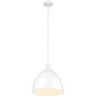 Z-Lite - Sawyer 1-Light Pendant - Lights Canada