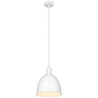 Z-Lite - Sawyer 1-Light Pendant - Lights Canada