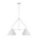 Alden 4-Light Chandelier