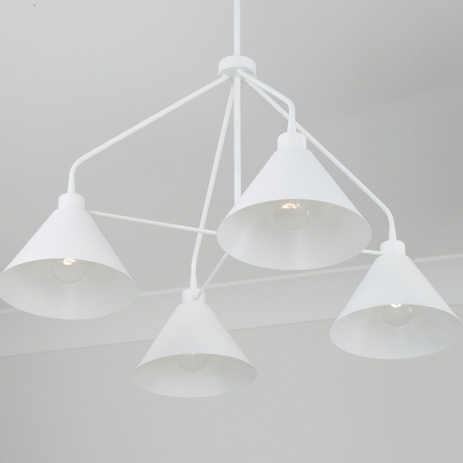 Alden 4-Light Chandelier