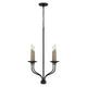 Wilder 4-Light Chandelier