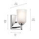 Shailene 5" 1-Light Wall Sconce