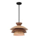 1-Light Pendant