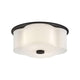 Delaney 2-Light Medium Flush Mount