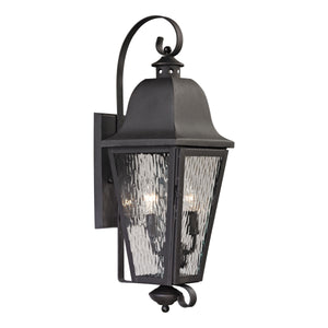 Forged Brookridge 24" High 2-Light Outdoor Sconce