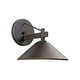 Ripley 10" 1-Light Outdoor Wall Light