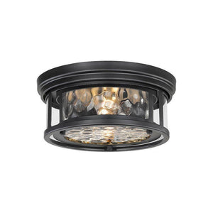 Z-Lite - Clarion 2-Light Flush Mount - Lights Canada