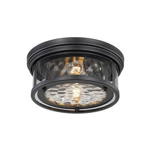 Z-Lite - Clarion 2-Light Flush Mount - Lights Canada