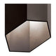 Estella 16.5" LED 2-Light Outdoor Wall Light