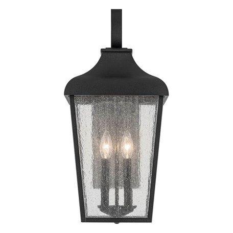 Forestdale 21.5" 2-Light Outdoor Wall Light