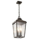 Forestdale 19.75" 4-Light Outdoor Hanging Pendant