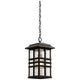 Beacon Square 9.5" 1-Light Outdoor Hanging Pendant