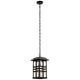 Beacon Square 9.5" 1-Light Outdoor Hanging Pendant