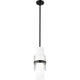 Cayden 1-Light Pendant