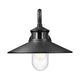 RLM 1-Light Outdoor Wall Light