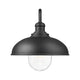 RLM 1-Light Outdoor Wall Light