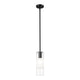 Alton 1-Light Pendant