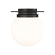Calhoun 1-Light Flush Mount