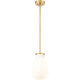 Newbury 1-Light Pendant